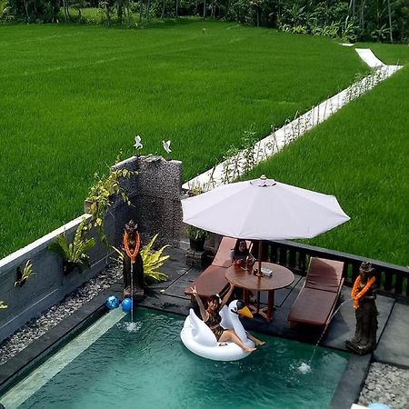 Beras Bali Suite Ubud Dış mekan fotoğraf